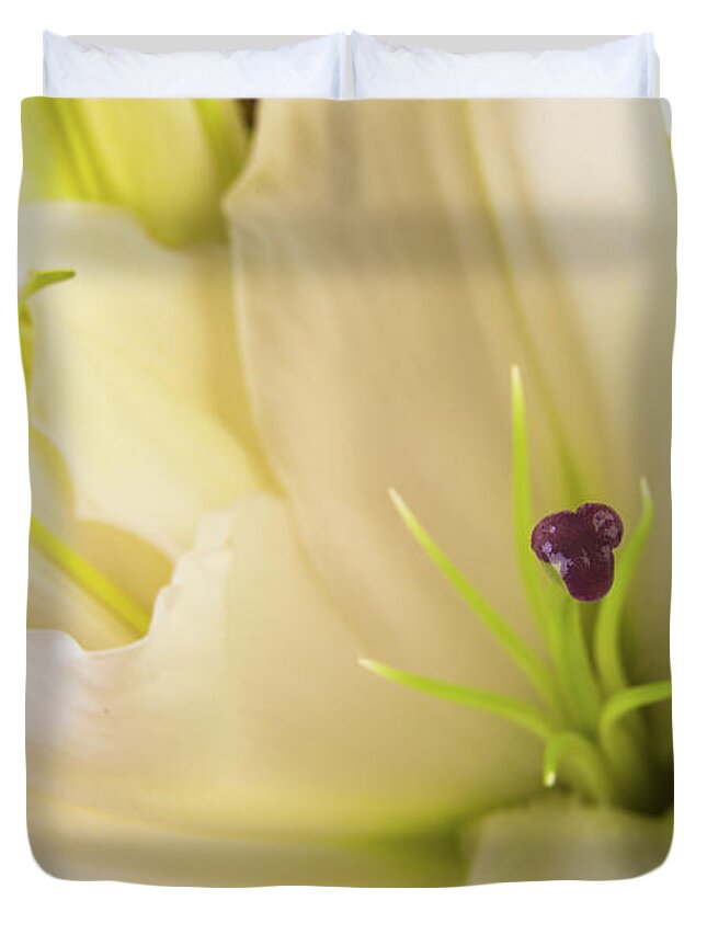 Alive Duvet Cover featuring the photograph Oriental Lily Flower by Raul Rodriguez