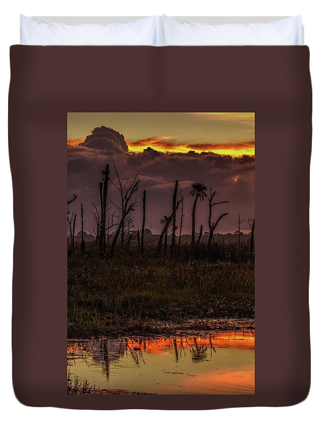 Sunrise Duvet Cover featuring the photograph Orlando Wetlands Sunrise #1 by Dorothy Cunningham