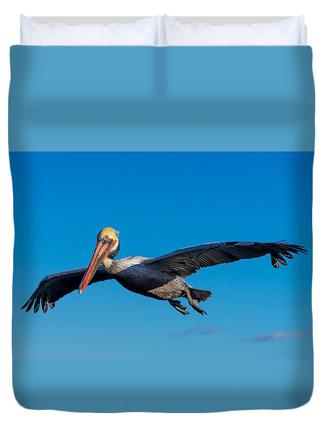 Pelican Duvet Cover featuring the photograph Pelican by Derek Dean