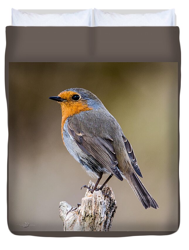 Perching Duvet Cover featuring the photograph Perching Robin by Torbjorn Swenelius