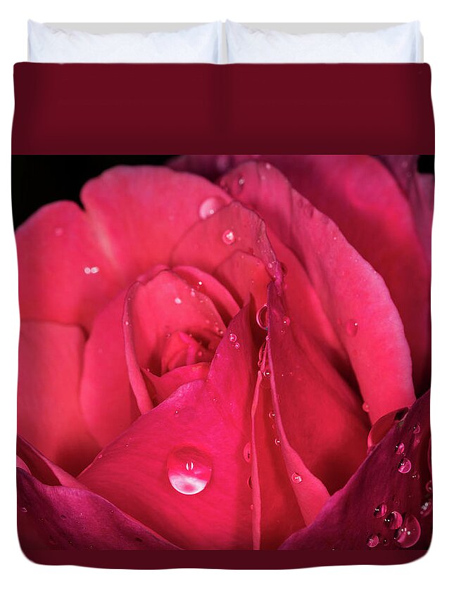Jay Stockhaus Duvet Cover featuring the photograph Pink Rose #1 by Jay Stockhaus