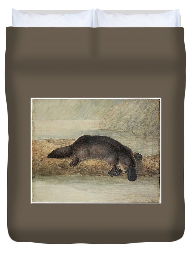 Platypus 1810 Duvet Cover featuring the painting Platypus #1 by MotionAge Designs
