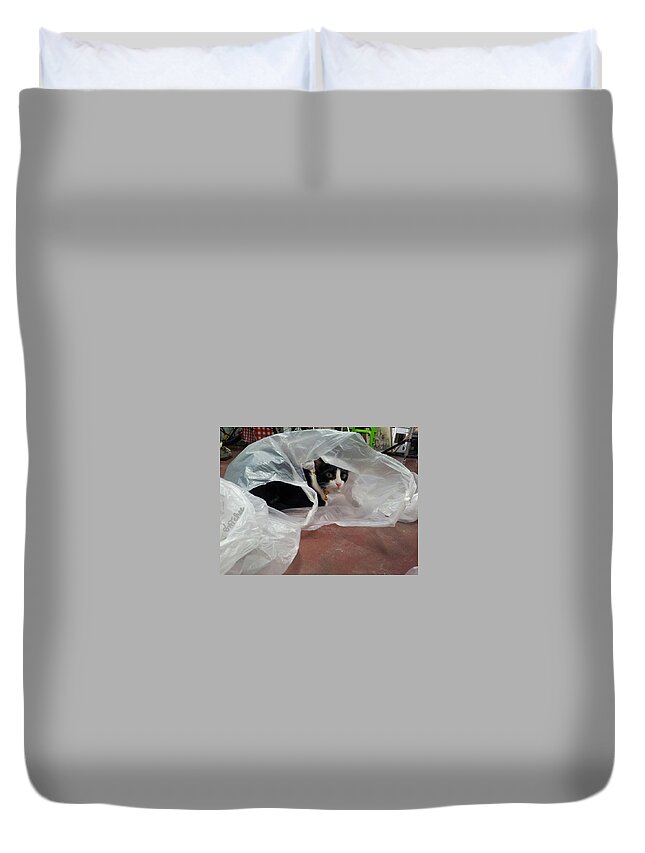 Gatchee Duvet Cover featuring the photograph Playing of A Cat by Sukalya Chearanantana