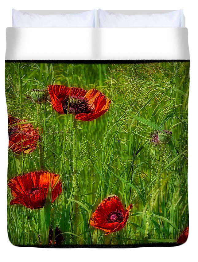 Poppy Duvet Cover featuring the photograph Poppies #1 by Hugh Smith