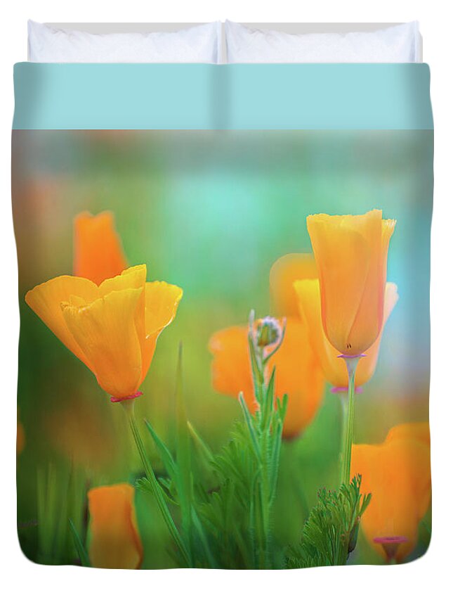 California Poppies Duvet Cover featuring the photograph Poppy Dreams by Lynn Bauer