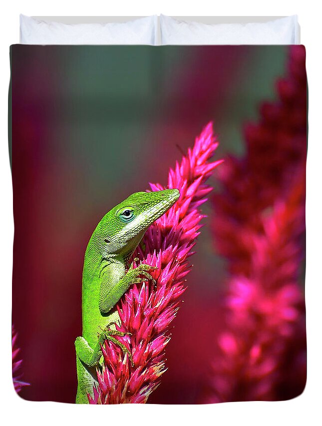 Reptiles Duvet Cover featuring the photograph Pretty In Pink #1 by Kathy Baccari