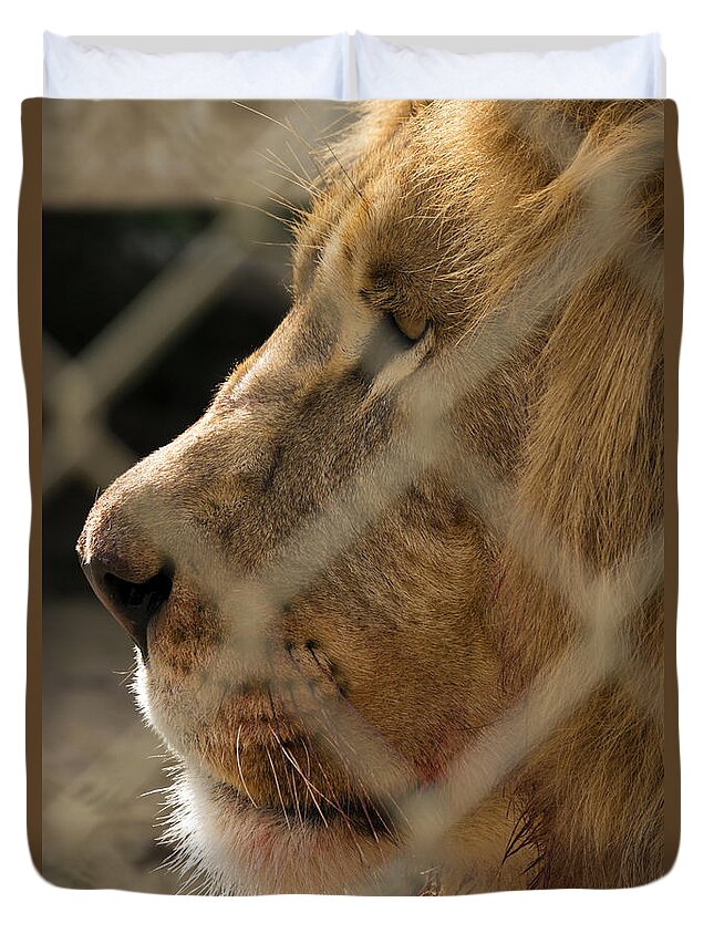 Acres Duvet Cover featuring the photograph Profile of a King #2 by Travis Rogers
