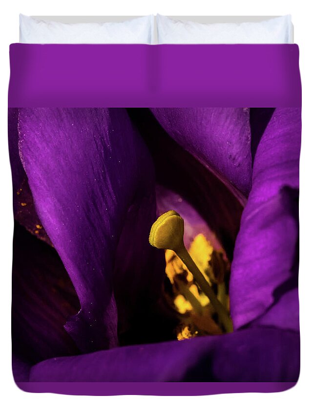 Jay Stockhaus Duvet Cover featuring the photograph Purple and Yellow #1 by Jay Stockhaus