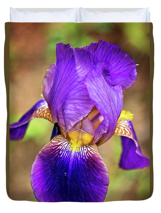 Purple Bearded Iris Print Duvet Cover featuring the photograph Purple Bearded Iris Print by Gwen Gibson