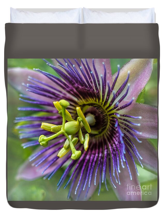 Nature Duvet Cover featuring the photograph Purple Passion by George Kenhan
