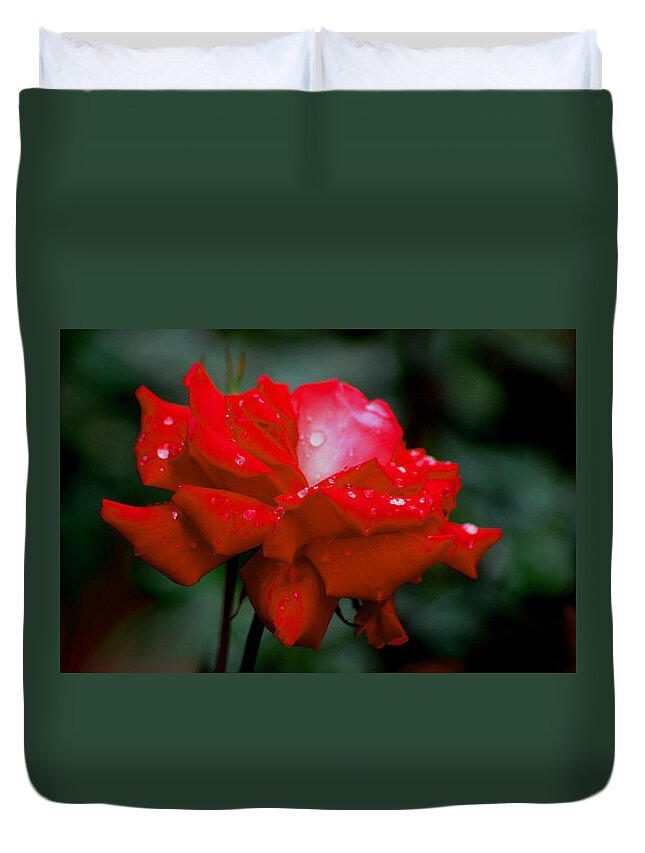 Roses Duvet Cover featuring the photograph Rained Upon #1 by Living Color Photography Lorraine Lynch
