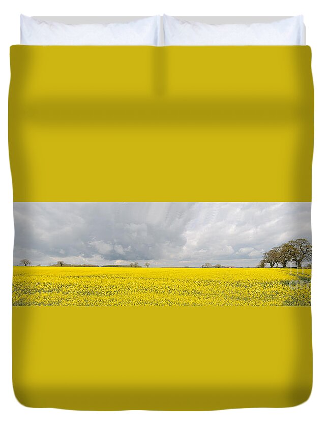 Rape Seed Duvet Cover featuring the photograph Rapeseed field #1 by Colin Rayner