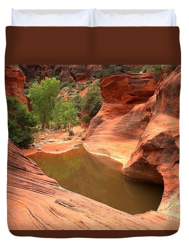 Red Cliffs Duvet Cover featuring the photograph Red Cliffs Oasis #1 by Adam Jewell