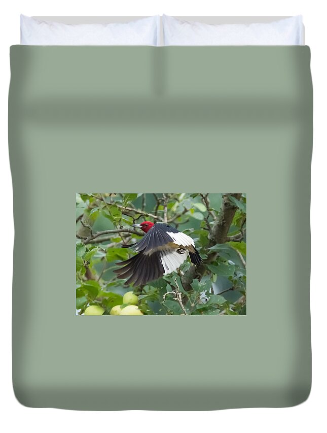 Red Headed Woodpecker Duvet Cover featuring the photograph Red-Headed Woodpecker #1 by Holden The Moment