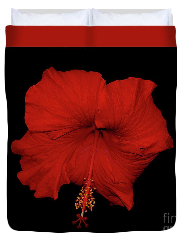 Red Hibiscus Duvet Cover featuring the photograph 1- Red Hibiscus by Joseph Keane