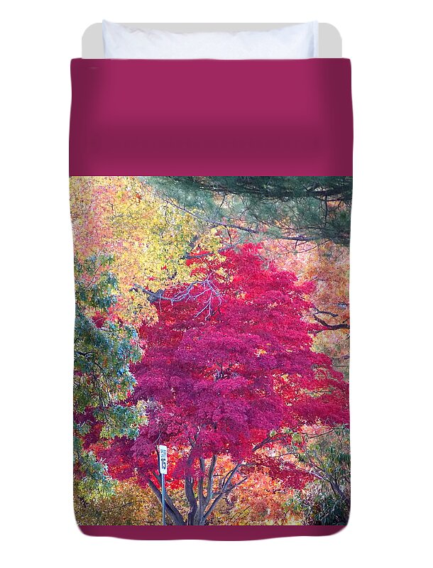 Providence Duvet Cover featuring the photograph Red Leaf Tree #2 by Catherine Gagne
