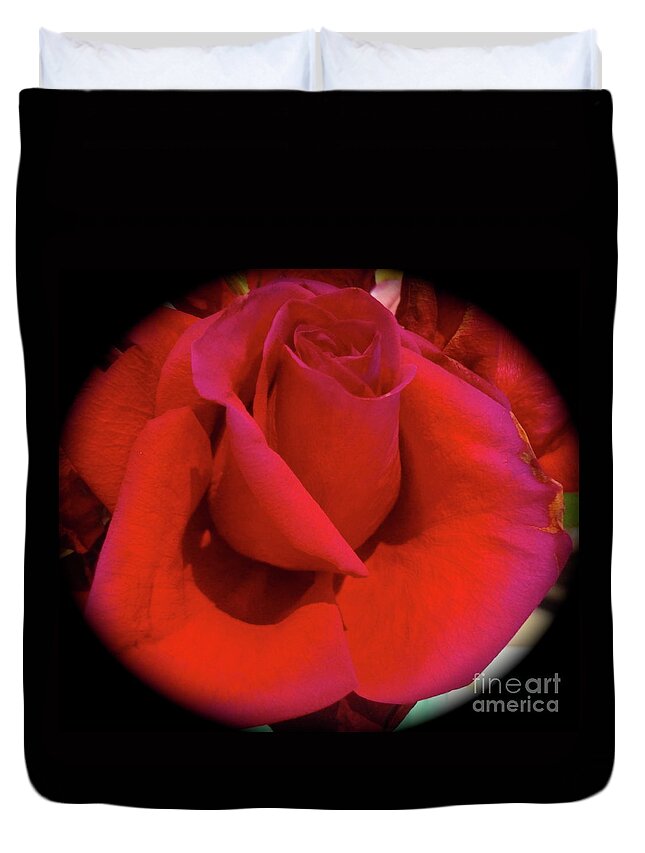 Red Rose Duvet Cover featuring the photograph Red Rose #2 by Jenny Lee