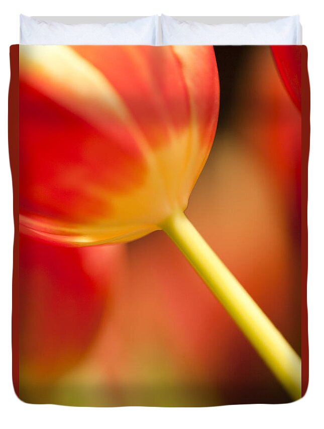 Tulip Duvet Cover featuring the photograph Red Tulips #3 by Heiko Koehrer-Wagner