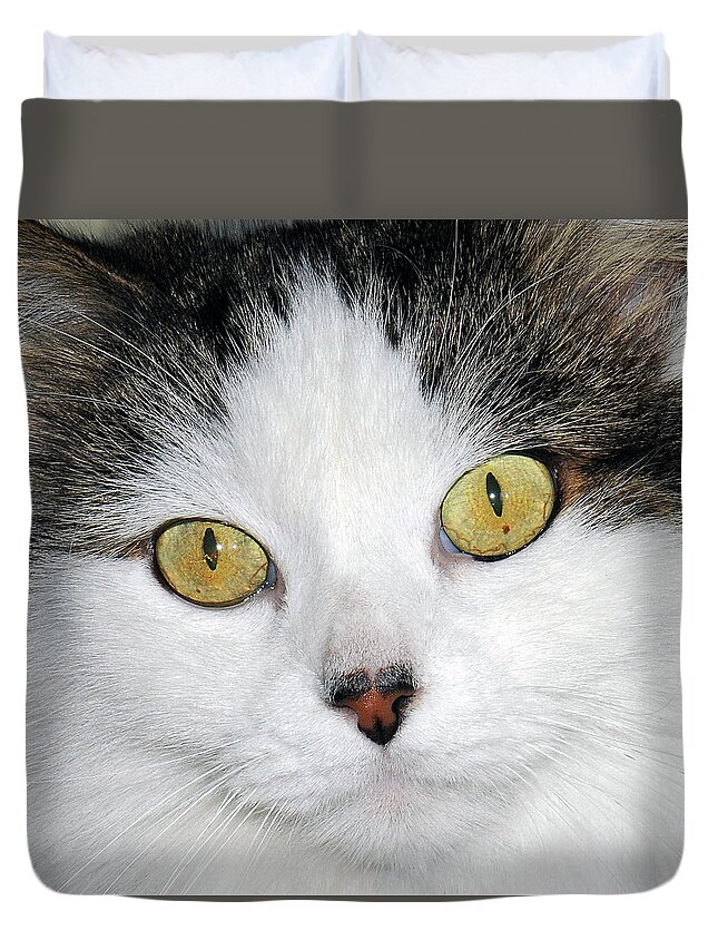 Cat Duvet Cover featuring the photograph Ridley #2 by Thanh Thuy Nguyen