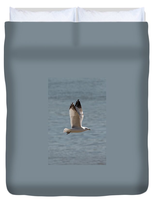 Ring Billed Gull Duvet Cover featuring the photograph Ring-Billed Gull #1 by Holden The Moment