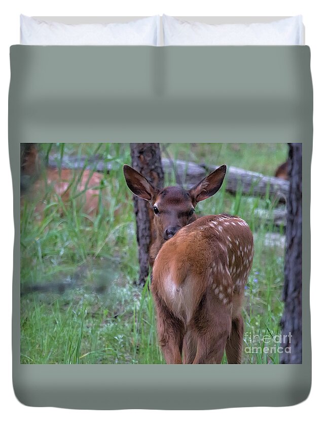 Baby Elk Duvet Cover featuring the photograph Rubber Necking by Jim Garrison