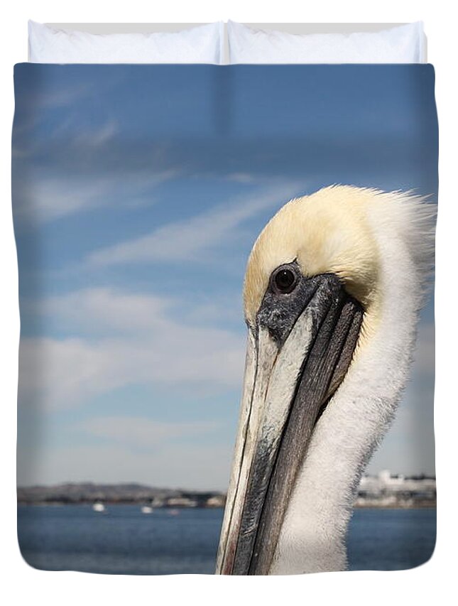 San Diego Duvet Cover featuring the photograph San Diego Pelican #1 by Henrik Lehnerer