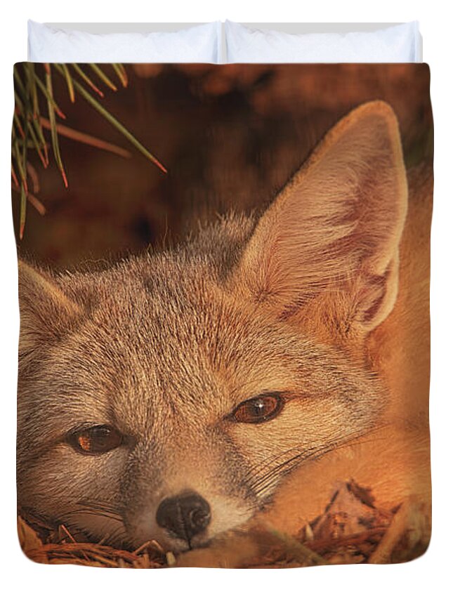 Animal Duvet Cover featuring the photograph San Joaquin Kit Fox #1 by Brian Cross