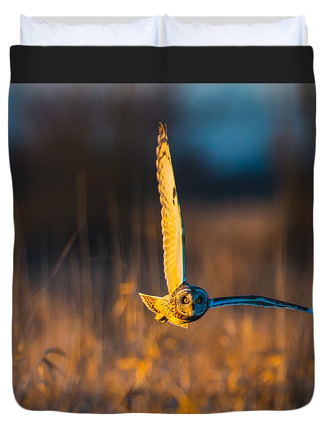 Small Ear Owl Duvet Cover featuring the photograph Small ear owl #1 by Hisao Mogi
