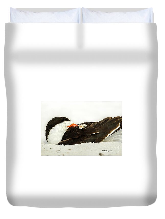 Black Skimmer Duvet Cover featuring the photograph Snug as a Bug #1 by Judy Rogero