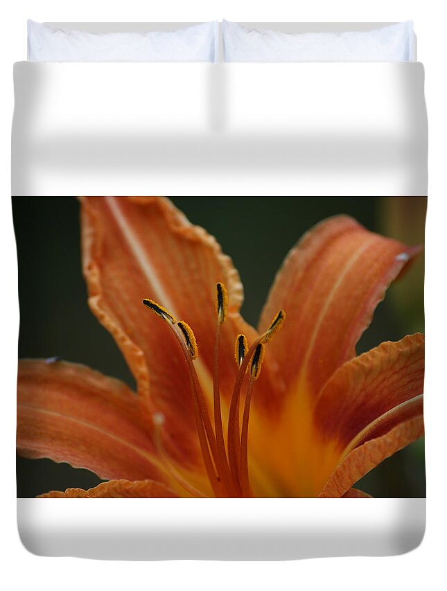 Spider Duvet Cover featuring the photograph Spider Lily #2 by Cathy Harper