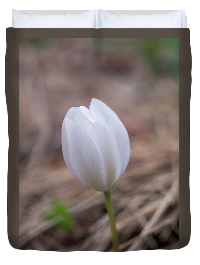 Spring Flowers Duvet Cover featuring the photograph Spring flower #1 by Lilia S