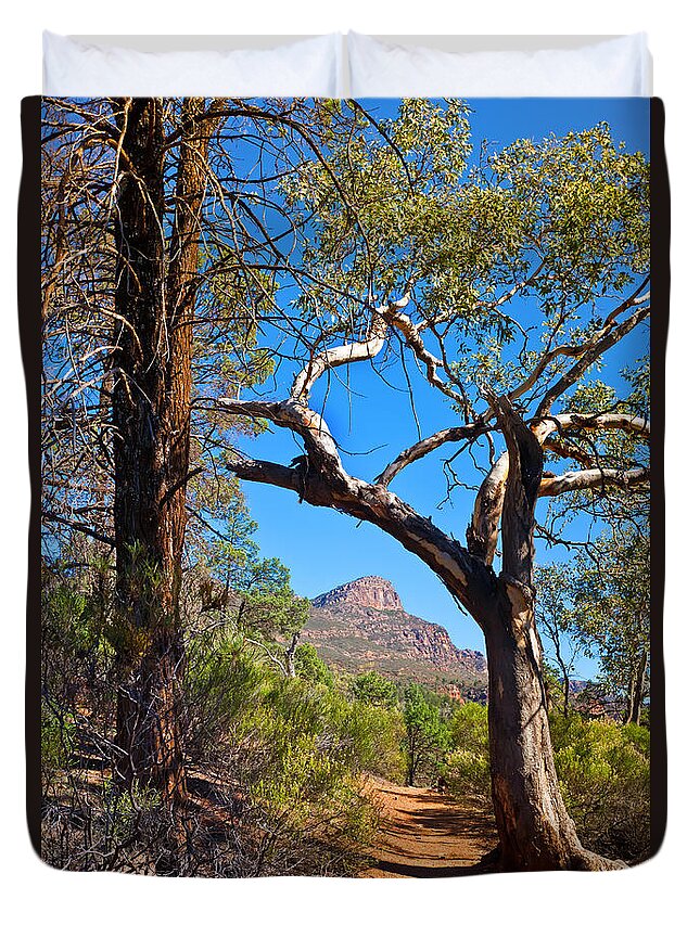 St Mary Peak Wilpena Pound Outback Landscape Landscapes South Australia Australian Duvet Cover featuring the photograph St Mary Peak Wilpena Pound #2 by Bill Robinson