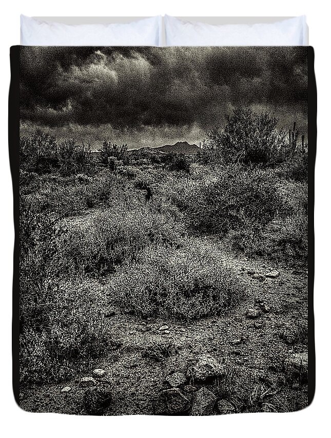Arizona Duvet Cover featuring the photograph Storm Clouds over the Sonoran Desert in Spring #1 by Roger Passman