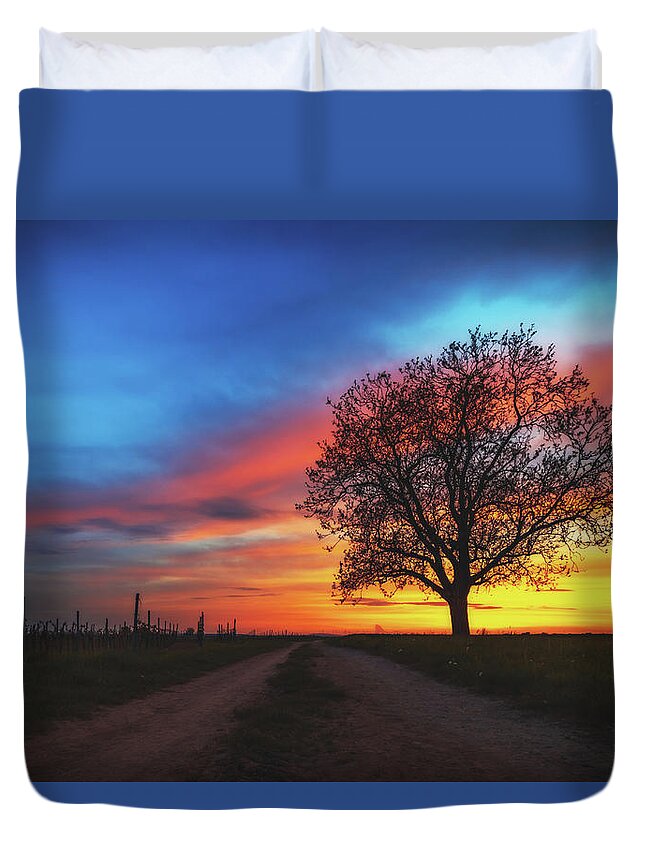 Tree Duvet Cover featuring the photograph Sunset #1 by Marc Braner