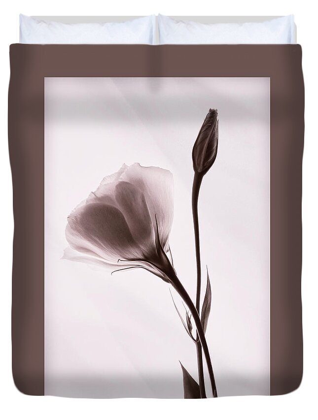 Lisianthus Flowers Duvet Cover featuring the photograph Supple #1 by Leda Robertson