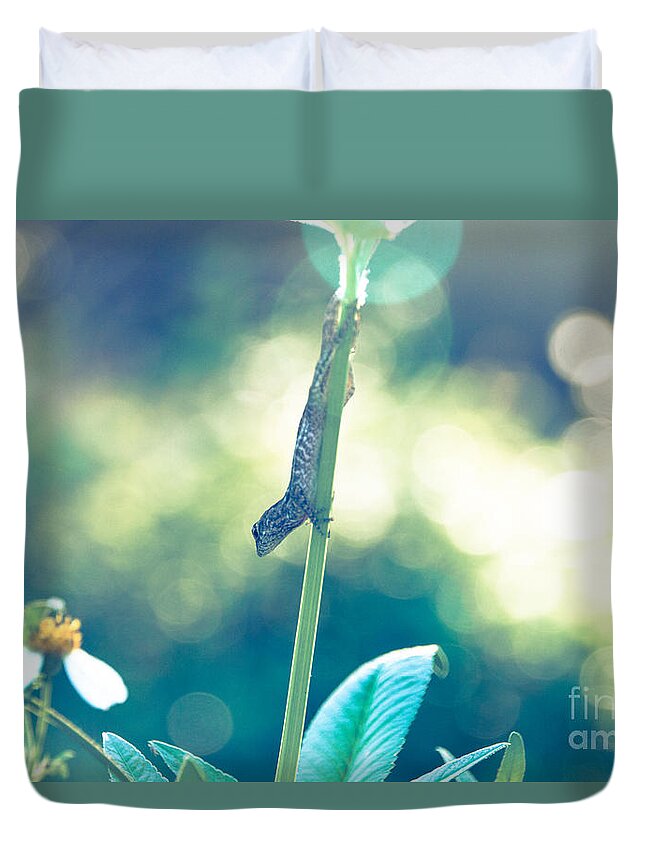 Animal Duvet Cover featuring the photograph Suspended headlong lizard #1 by Amanda Mohler