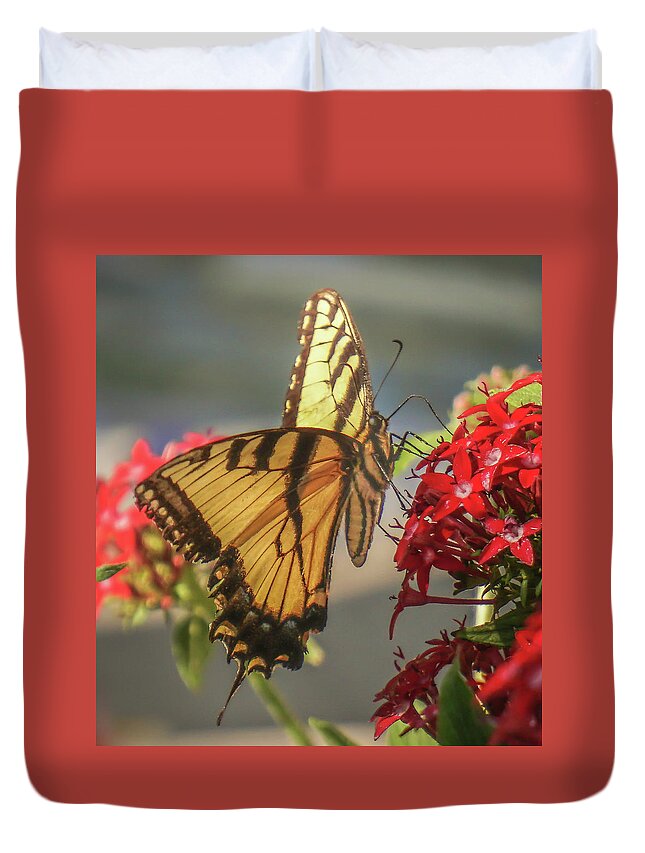 Florida Duvet Cover featuring the photograph Swallowtail #1 by Jane Luxton