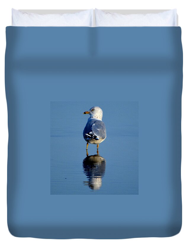 Bird Duvet Cover featuring the photograph Tan Lines by Dani McEvoy