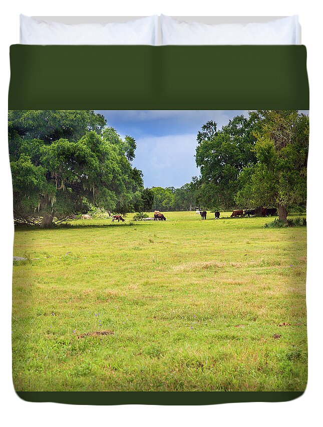 Cows Duvet Cover featuring the photograph The Meadow #1 by Judy Wright Lott