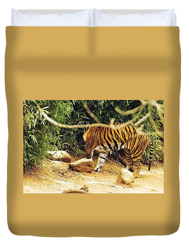 Tigers Duvet Cover featuring the photograph Tiger 2 #1 by Karl Rose