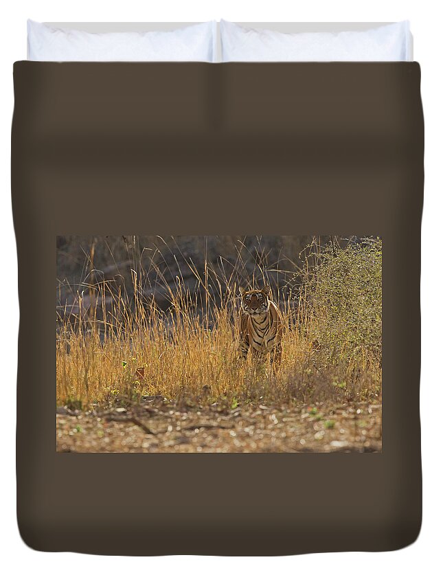 2017 Duvet Cover featuring the photograph Tigress #1 by Jean-Luc Baron