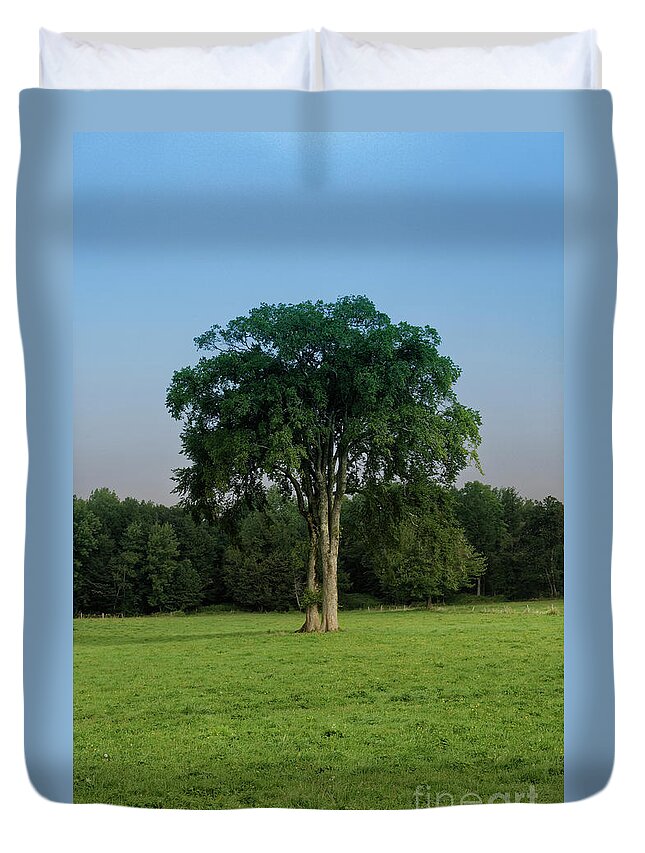 Maine Duvet Cover featuring the photograph Tree in field by Kevin Shields