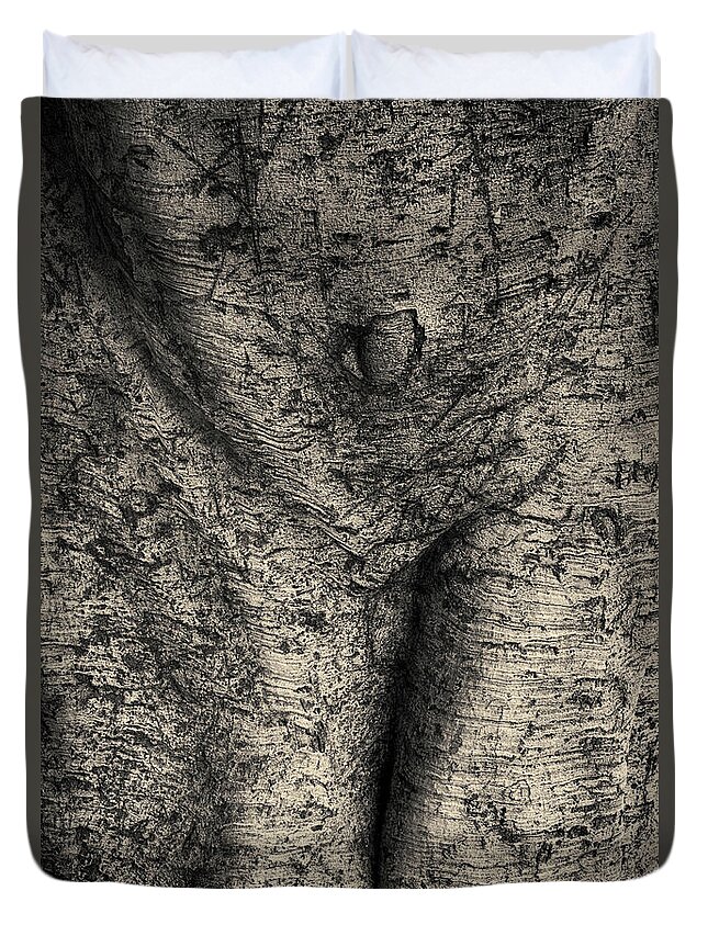 Tree Duvet Cover featuring the photograph Tree Trunk I Toned by David Gordon
