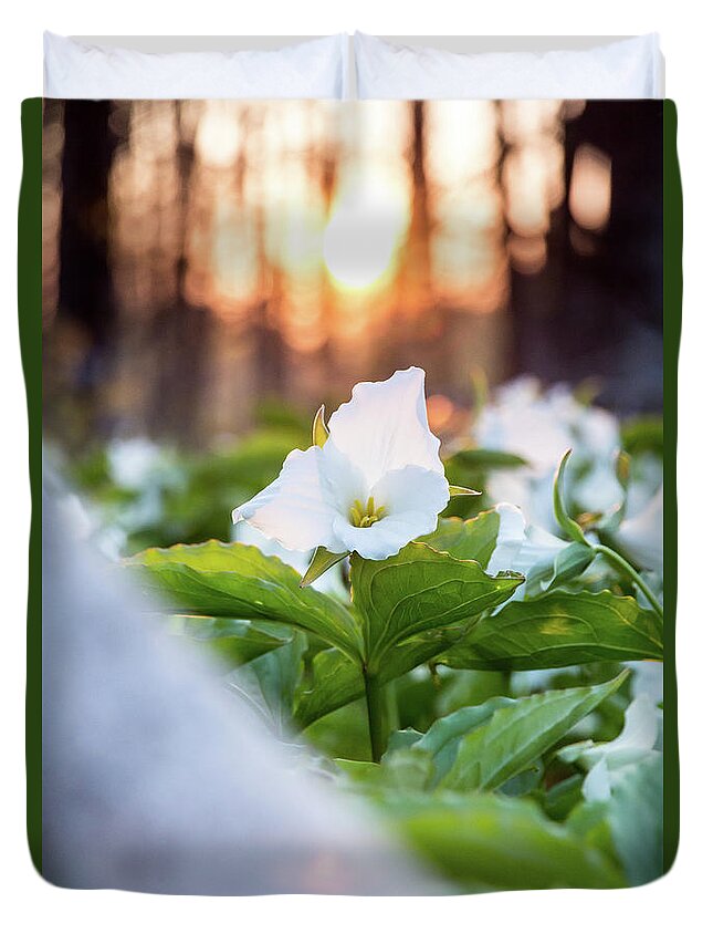 Flowers Duvet Cover featuring the photograph Trillium #1 by Lee and Michael Beek
