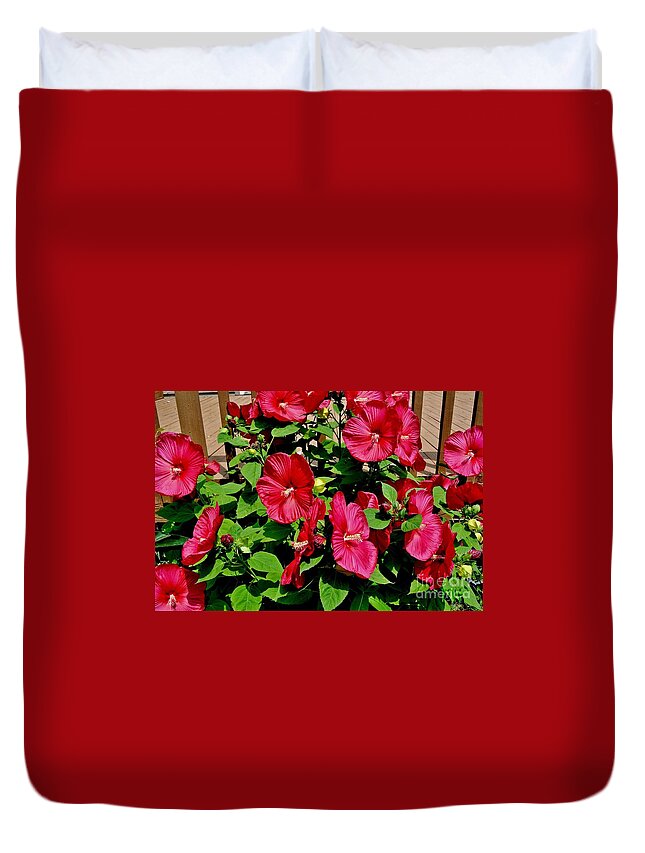 Photo Duvet Cover featuring the photograph Tropical Red Hibiscus Bush by Marsha Heiken