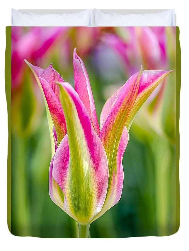 Abundance Duvet Cover featuring the photograph Tulip Beauty #1 by Teri Virbickis