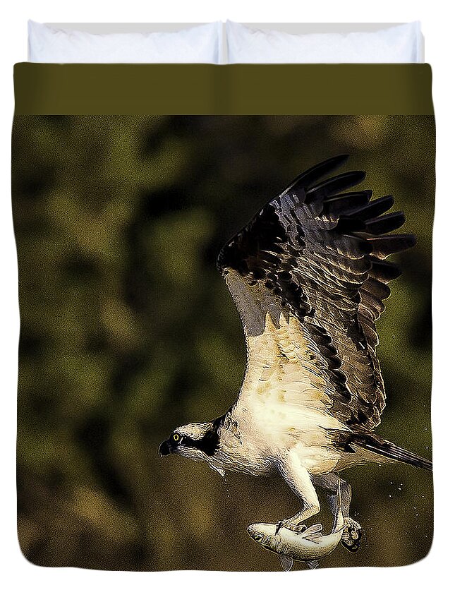 Osprey Duvet Cover featuring the photograph Up Up and Away #1 by Joe Granita