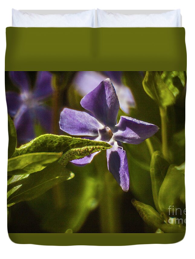 Black Pearl Chilli Flower Duvet Cover featuring the photograph Violet Flower #1 by Doc Braham