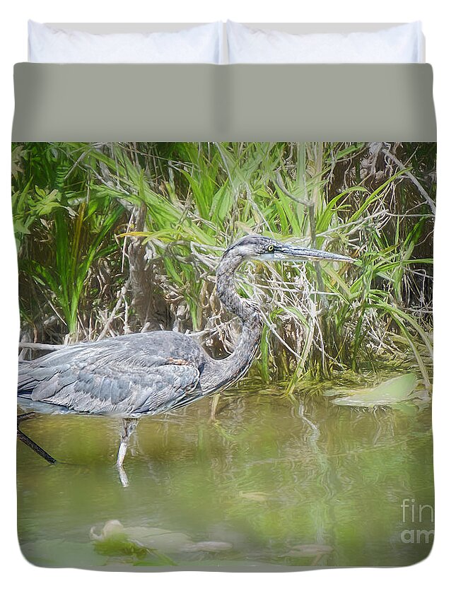 Everglades Duvet Cover featuring the photograph Wading for Food #1 by Judy Kay