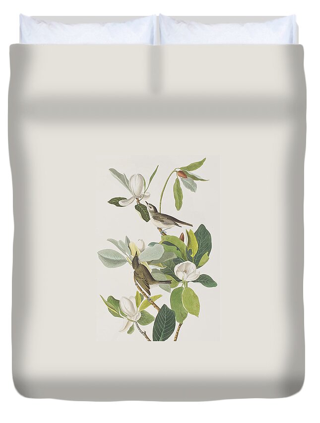 Warbling Flycatcher Duvet Cover featuring the painting Warbling Flycatcher by John James Audubon